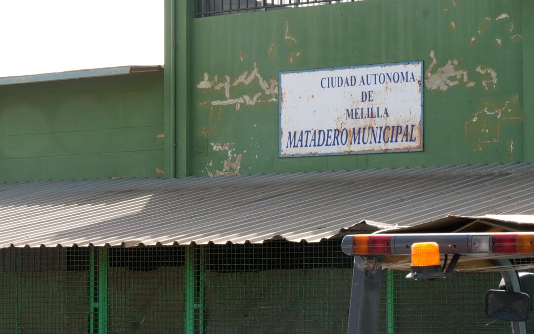 Somos Melilla alerta de la paralización de los sacrificios en el matadero municipal