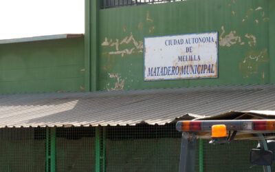 Somos Melilla denuncia el desabastecimiento de carne por falta de personal en el matadero