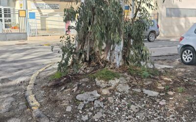 Somos Melilla estalla contra el “autobombo” de Imbroda mientras el Real se “cae a pedazos”