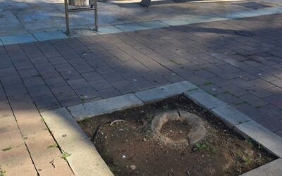 Somos Melilla denuncia el “abandono absoluto” de la Plaza Multifuncional de San Lorenzo