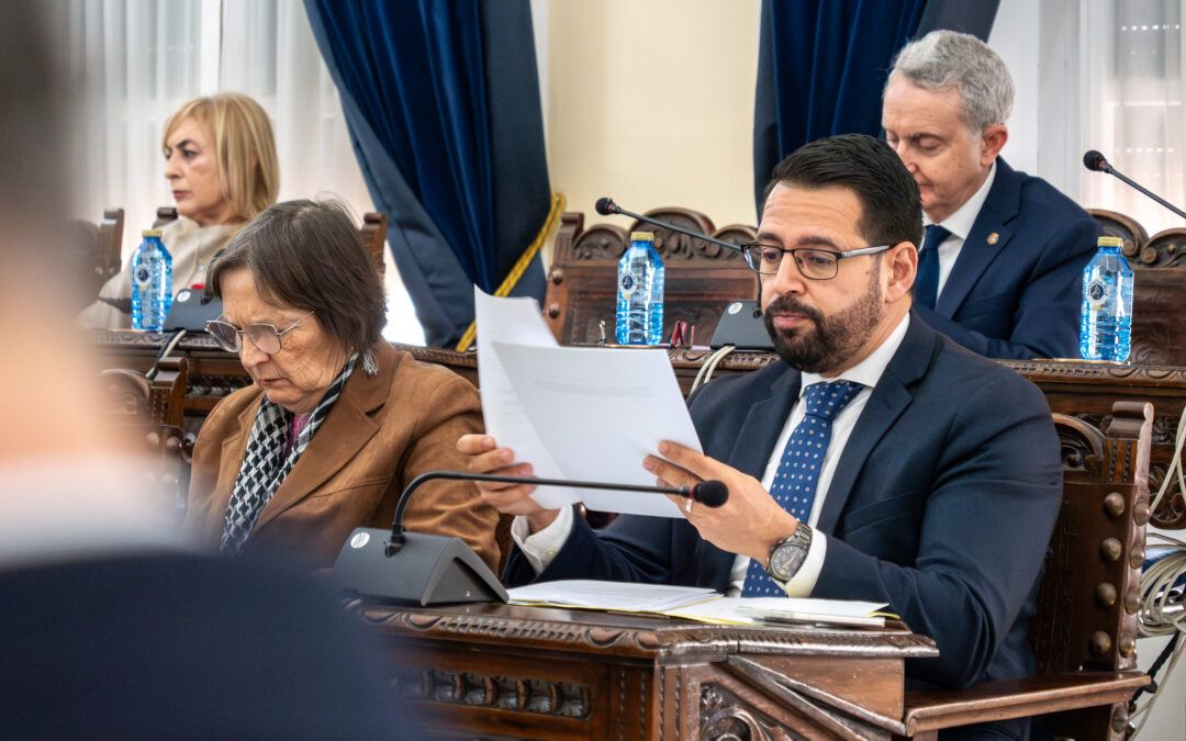 Somos Melilla exige investigar el contrato de control de gaviotas y otras aves por presunto fraude