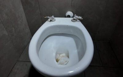 Somos Melilla denuncia el “lamentable” estado de los baños del recinto ferial